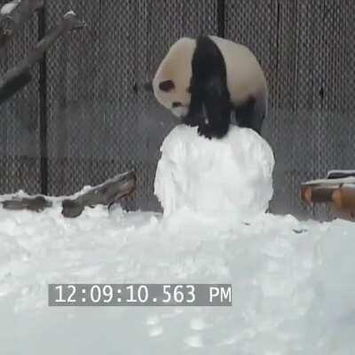 Honestly, it’s a MIRACLE any of these guys still exist