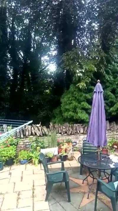 Not a bad afternoon.