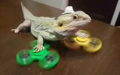 Leaked Image of Godzilla's New Superpowers in Godzilla VS Kong