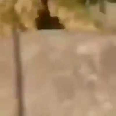 Esse nunca mais aperta uma campainha na vida