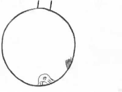 A beautiful animation.