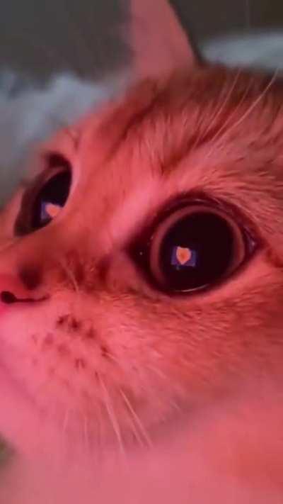 Seeing all the love for DRS 😍