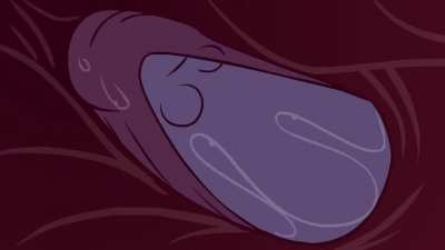 zone the modyfuckers