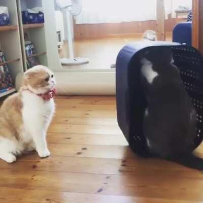 Not this shit again..