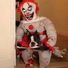 Costume of the year! Love it!!!