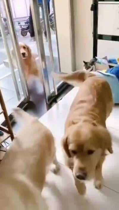 What a good gentleman :)