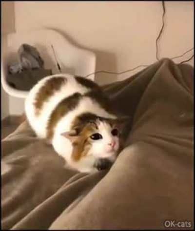 Wiggle Wiggle Wiggle