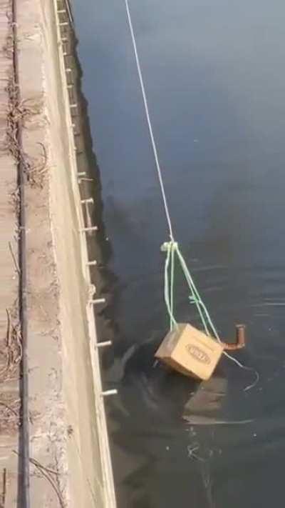 A man saves a cat that’s accidentally ended up in the water