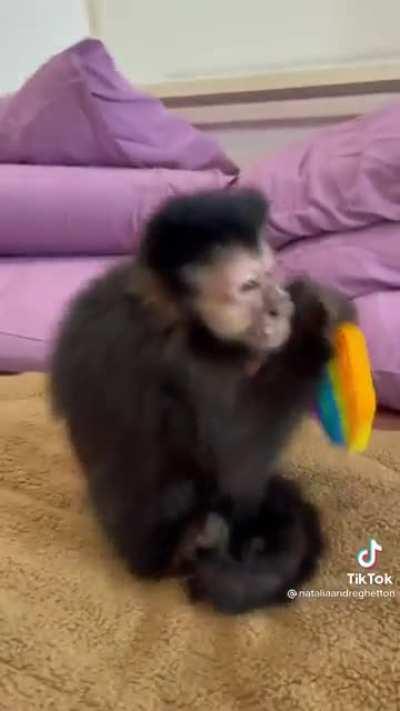 Muquinha ganhou presente