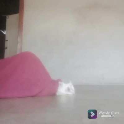 The blop, devour of Cats and childrens