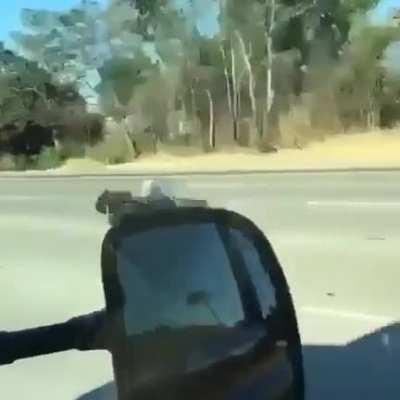 Leathers? Who needs them................