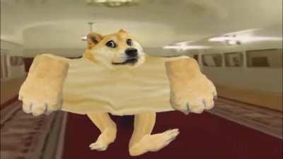 Le uncharacteristic walk has arrived