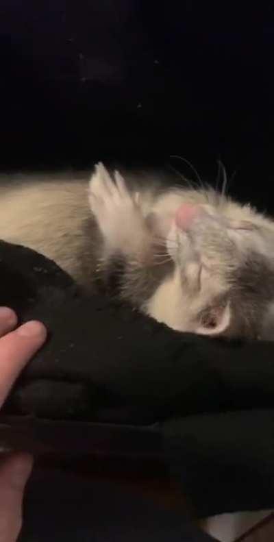 Too precious for this world 🥺🥺😢