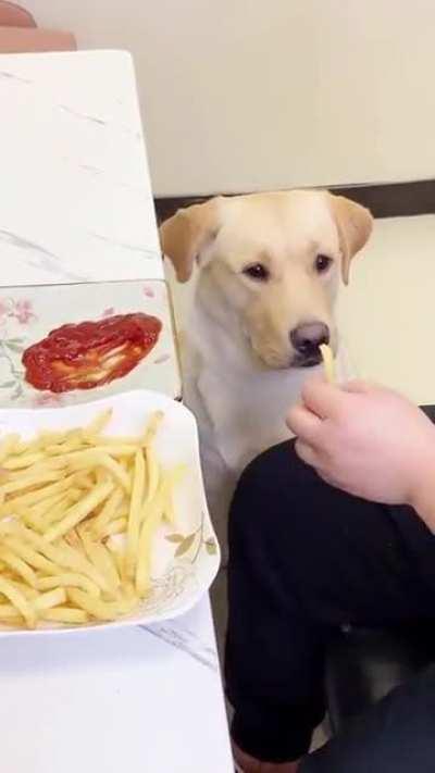 С кетчупом вкуснее