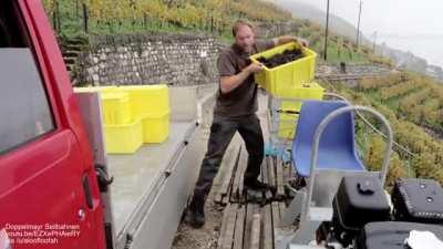 Monorack at a mountainside vineyard