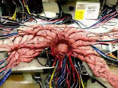 Infinite Zoom into an artifical brain