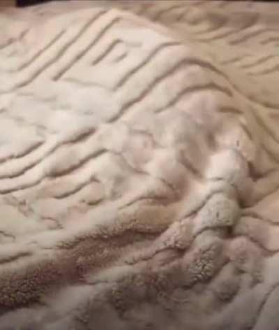 Got To Summon The Demon