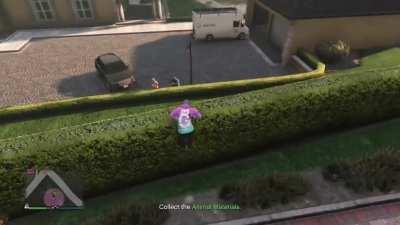 Over the hedge (2006) summarised