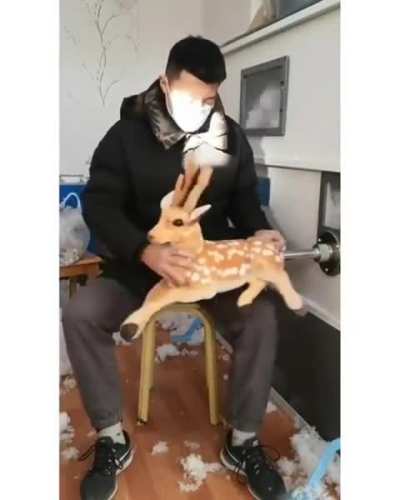 Dayı ne yapıyon amk