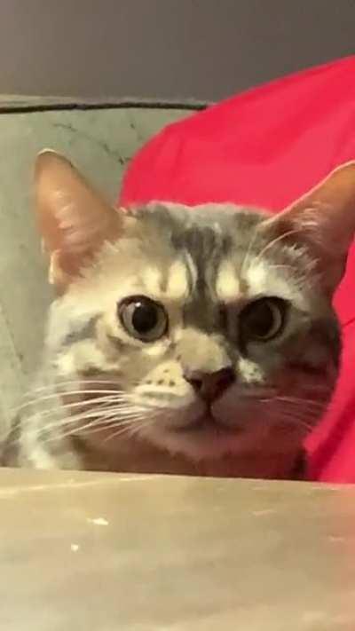 What does long eye contact mean?