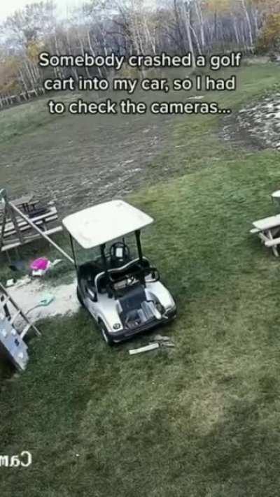 Insurance doesn’t cover acts of Dog