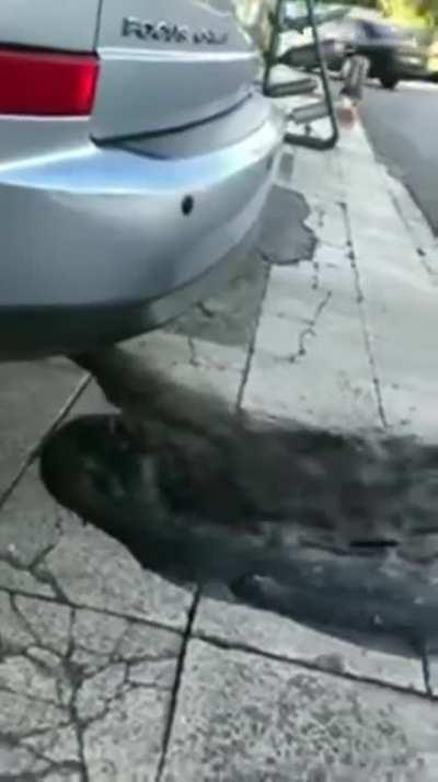 Tourists after their first night on the Guinness