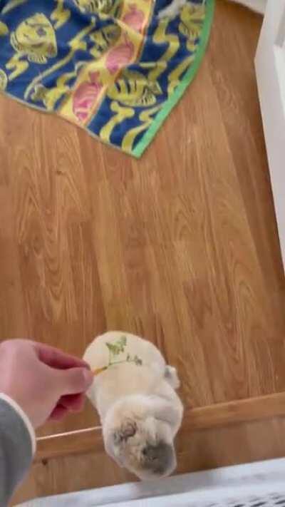 The best use of the harvest