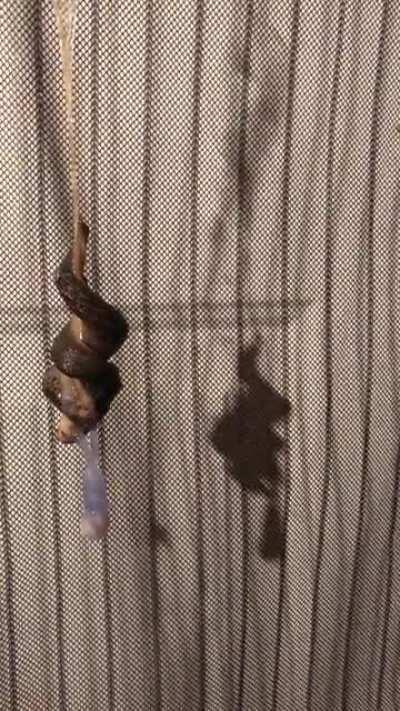 This made me say WTF outloud...NSFW