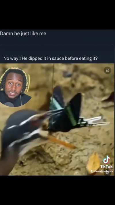 Me personally, I could never