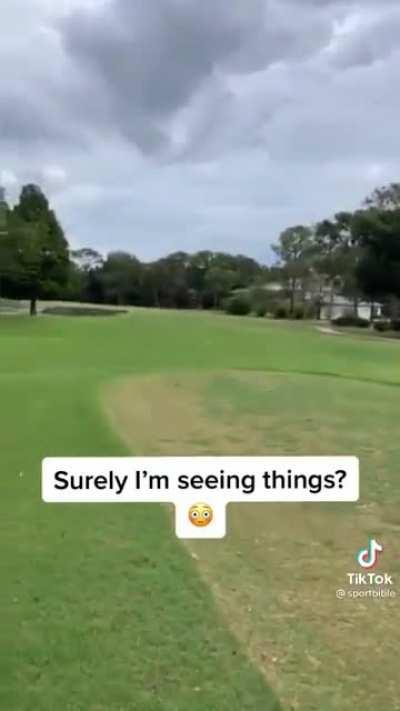 What did he just do with his arms?