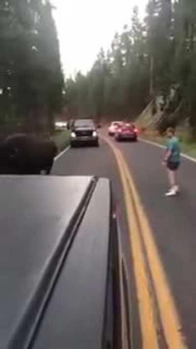 This guy decided to fight a bison in Yellowstone Park. YES! A BISON.