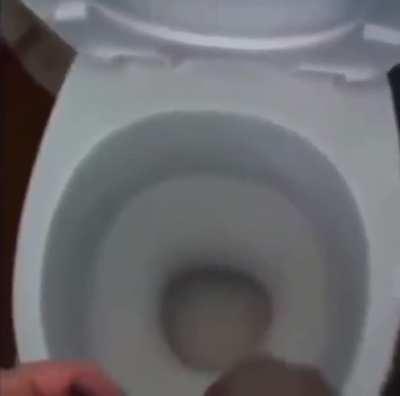 haha fish please dont use the n word counter on me