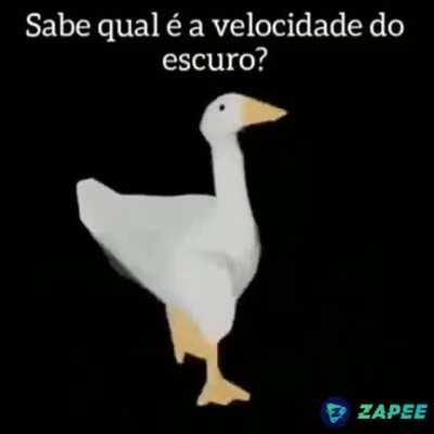 Feliz dia da consciência negra 🤚