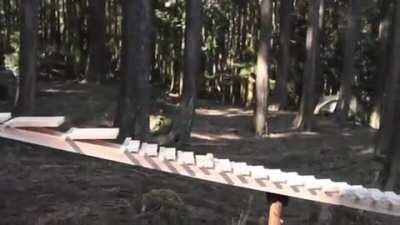 Imagine walking through a quiet forest and you hear this in the distance.