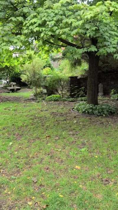 Just went out and I am very hungry for some sausage