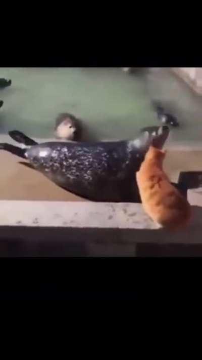 Olum nedensizce üzüldüm lan