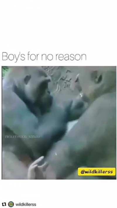 Most Primates have the same reaction to inappropriate touches just like us..