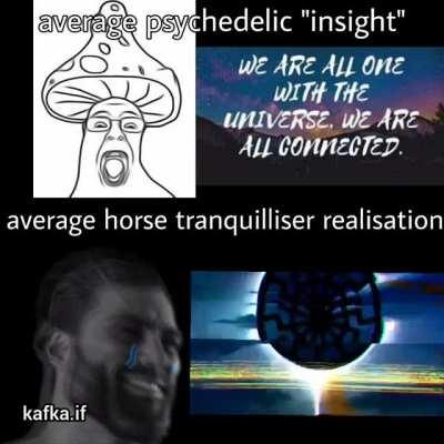 If you load up on meth and read Wikipedia shit gets wild, I did this and ended up on some obscure 2009 html page about hyperborea