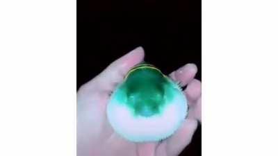 This dumbass squeezes a what I can only assume poisonous pufferfish. Look at how quick their hand changes colour