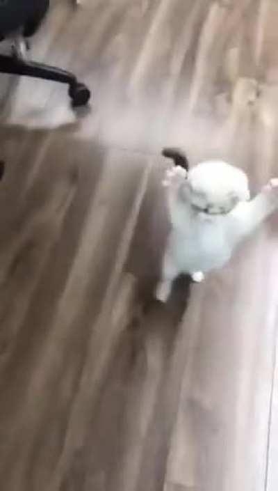 Я зло, я морок. Бойся меня!