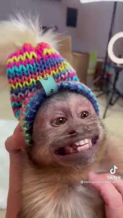 Monke