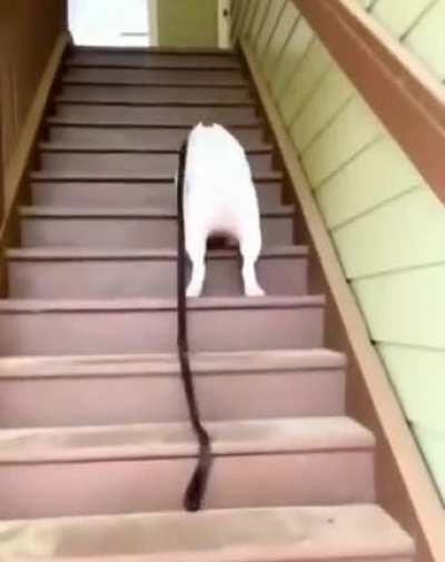 i can see this all day