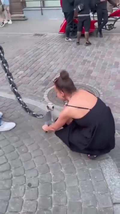 Fake Big Dog Chain Leash
