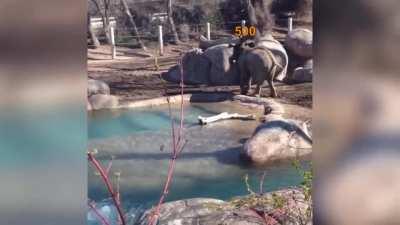 Monster Hunter World 