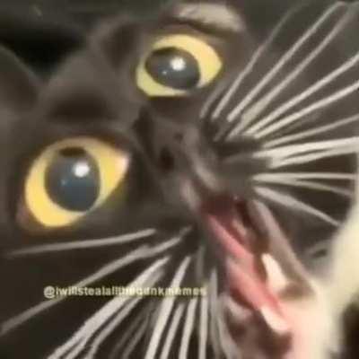 eu depois de ter batido meu dedo do pé na cômoda :((