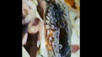 LMAOOOO anybody remember this from X’s IG story?