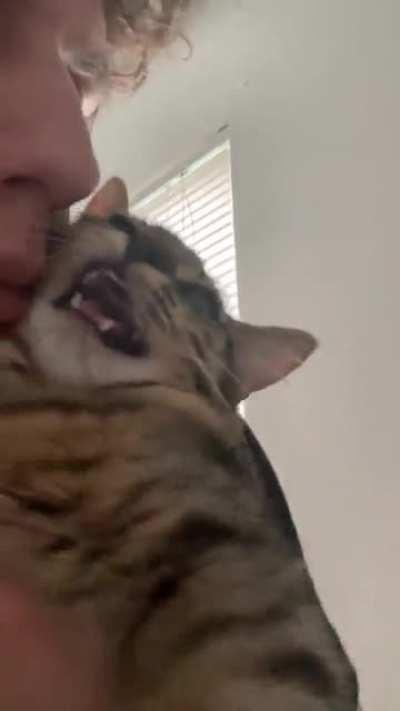 She couldn’t meow as a baby kitten lol. Her first squeak