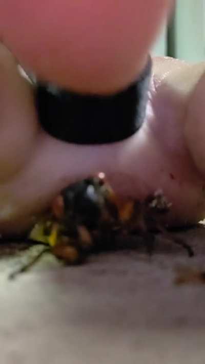 Just missing my favorite crush bugs...preview page link in bio 😘