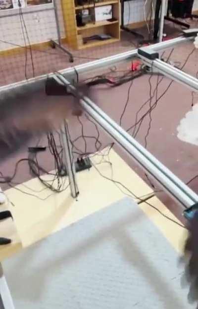 Researches in Mexico converting dead birds into Drones