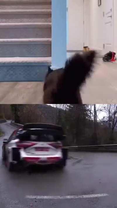 Полицейский разворот.